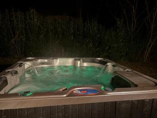 Le Clos de la Michaudiere, spa, calme et nature en famille - Cellettes - 7