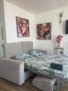 PENTHOUSE 10 MIN port croisière et aéroport - Pointe-à-Pitre - 3
