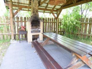 Cottage in a quiet location by the lake Mausz, Parchowo in Kashubia - Parchowo - 1