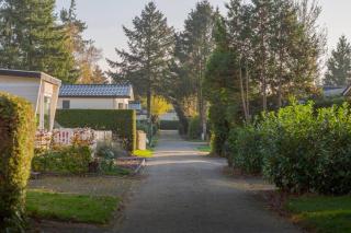 Chalet with Fireplace in the Heart of Veluwe - Putten - 4