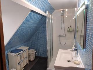 BERNAY Chambre avec salle d'eau privative et entrée indépendante - Bernay - 4