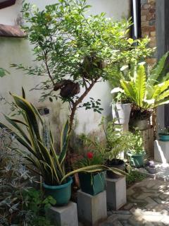 Hashi Villa - Weligama Bay - Weligama - 3