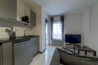 Charmant appartement - Villeurbanne Centre - Villeurbanne - 8