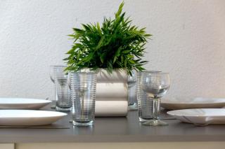 Charmant appartement - Villeurbanne Centre - Villeurbanne - 5