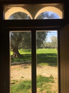 Casina del sole Relax and Private Pool - Ceglie Messapica - 5