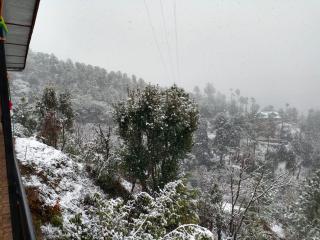 Nature Sanctuary Stay - 4