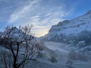 Bachsbort 14 4- Bett Wohnung Parterre, freie Sicht auf Eiger - b48638 - Grindelwald - 8