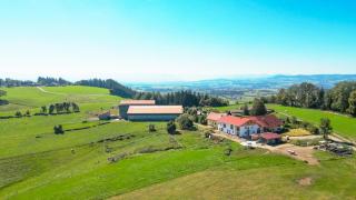 Schilchernhof - Ferienwohnungen im Allgäu - Dietmannsried - 7