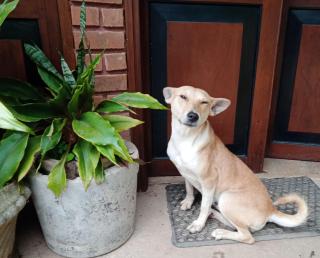 Namadi heights Bungalow - 3