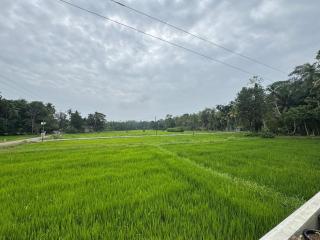 Eco Lux Villas - Ahangama - 3