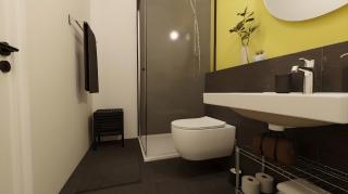 bright central suite apt for 3 near frankfurt - Offenbach - 7