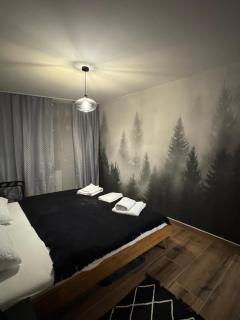 FeWo im Kurhotel in Schluchsee Apartment Black Forest mit Balkon Indoorpool Tiefgaragenstellplatz - Schluchsee - 9