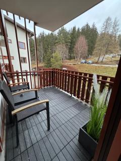 FeWo im Kurhotel in Schluchsee Apartment Black Forest mit Balkon Indoorpool Tiefgaragenstellplatz - Schluchsee - 2