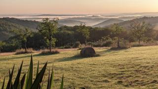 Horizon Mohair - Saint-Projet - 7