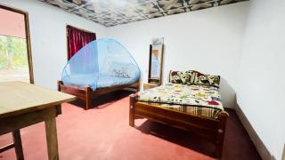 Sigiri Elephants Path Hostel - Kibissa - 5