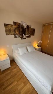Apartamentos Suites Iscar - Iscar - 1