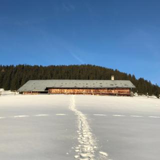 Chalet d'Alpage à Prafandaz - Leysin - Leysin - 5