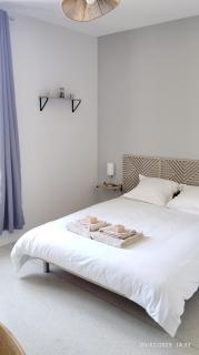 Studios ou Chambre SDB avec extérieur centre-ville Ribérac - Ribérac - 7