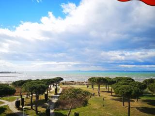 APPARTEMENT CLIMATISE 2 CHAMBRES VUE MER ET PARKING - 0
