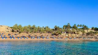 Tamra Beach Resort - Sharm el Sheikh - 1
