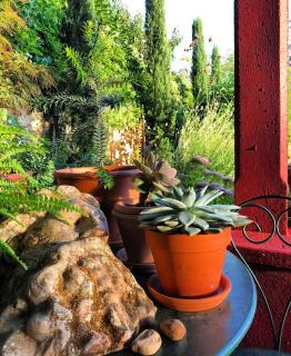 Le Parasol Rouge - 7