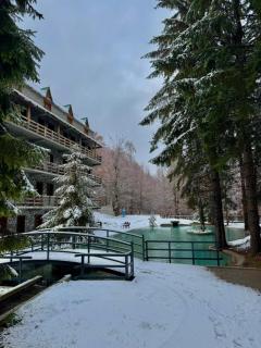 Burimi i Valbones - Valbona - 3