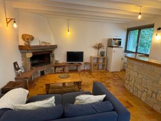 Studio 40m2 Antony - Antony - 9