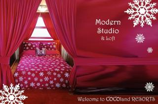 MODERN Studio & Loft - 0