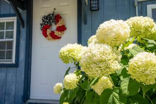 BnBs Dog Friendly Cottage - 0