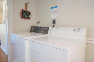 BnBs Dog Friendly Cottage - 4