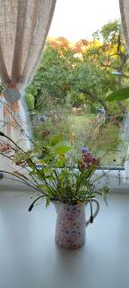 Švyturio papėdė - 7