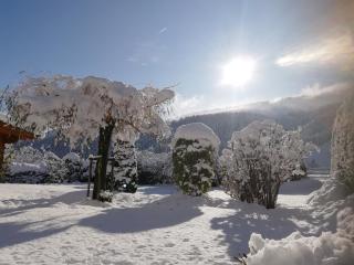 Chalet - Urlaub bei Freunden - Wagrain - 5