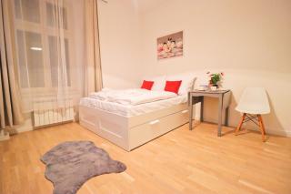 Spacious apartment in the center of Prague - Prague - 4