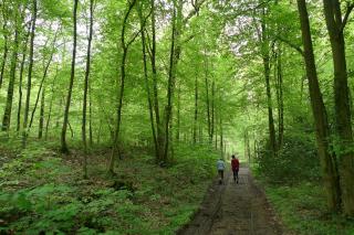 Le Logis in Sivry-Rance - Mont Jumont - 4