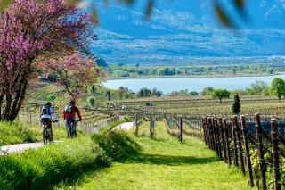 Chalet Agave - Caldaro - 3