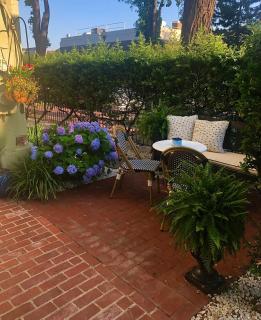 Cherry Blossom Charm - Washington - 6