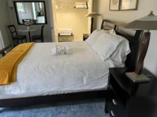 New Luxe Studio Cleveland Park near Zoo - Washington, D.C. - 8