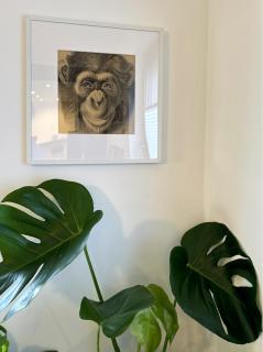 Zuhause auf Zeit in Mainz - Magonza - 4