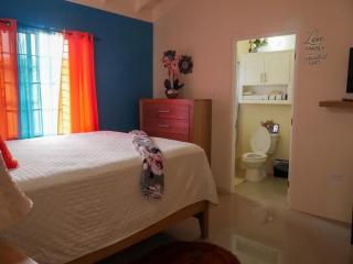 2 BDR B&B near Martha Brae River Rafting - 6