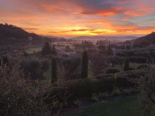 Paradise in olives grove - 7