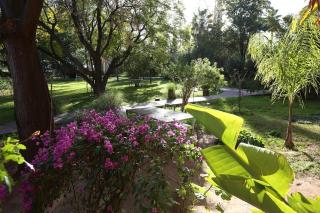 Luxury Villa With Private Pool - Sidi Bouzguia - 9