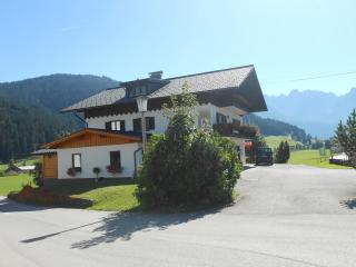 Ammoniten Blick - Appartement Gustav Gapp - Gosau - 5