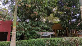Kabalega Resort - Hoima - 1
