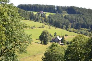 Ferienwohnung Beim Pauli - Titisee-Neustadt - 6