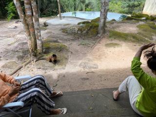 Sítio Zion em Tianguá - 6