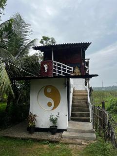 Little birds - Tangalle - 3