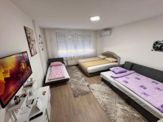 Apartman Panda Priboj - Priboj - 9