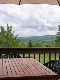 Serene Mountain Lodge w Stunning Views - Fleischmanns - 4