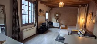 Appartement typique au coeur du vieux Tours - Tours - 0