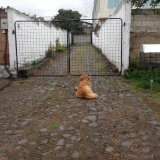 Casa de huéspedes San Antonio - 9